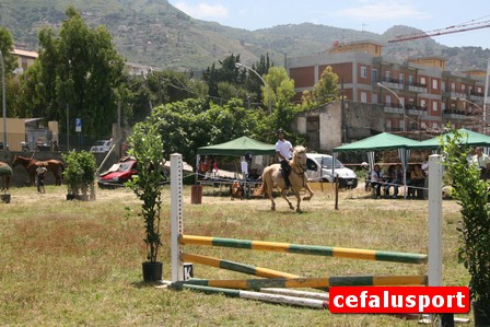100602_Ippoclub 279_tn.jpg